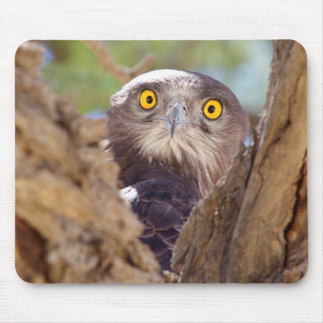 Ein Weißbrasse-Adler Mousepad (Vorne)