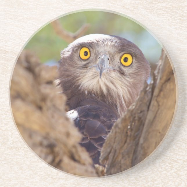 Ein Weißbrasse-Adler Sandstein Untersetzer (Vorne)