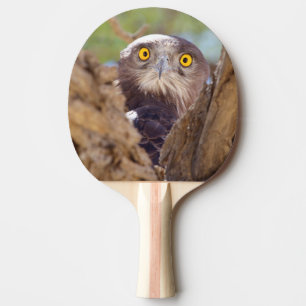 Ein Weißbrust-Schlangeneagle Tischtennis Schläger