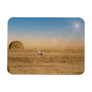 Ein weißer Storch Magnet