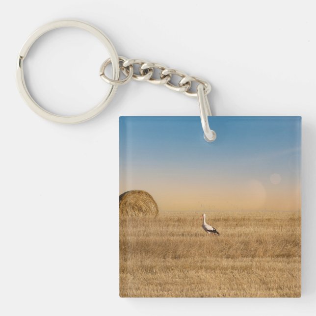 Ein weißer Storch Schlüsselanhänger (Vorderseite)