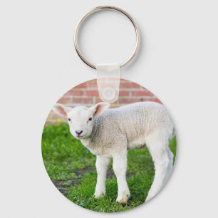 Ein weißes, neugeborenes Lämmchen, stehend in grün Schlüsselanhänger