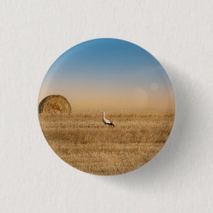 Ein Weißstorch  Button