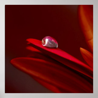 Ein weiterer Stein in der Wand Poster