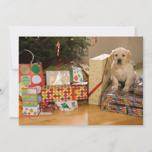 Ein Welpe sitzt unter Weihnachtsgeschenken Feiertagskarte
