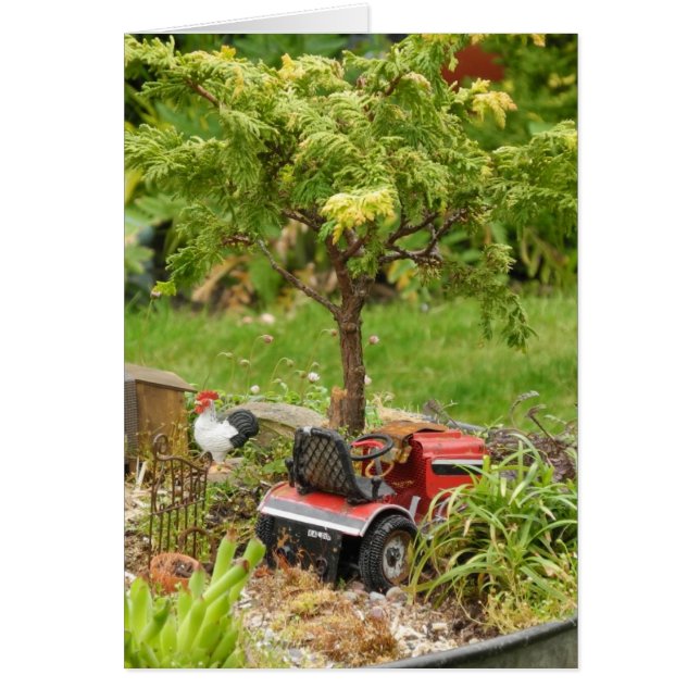 Ein wenig Land, leere Karte (Vorne)