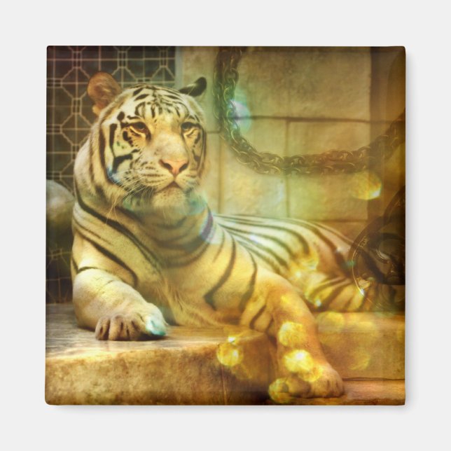 Ein wiederbelebtes Herz Magnet (Vorne)