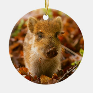 Ein wilder Eber-FerkelSus Scrofa im Herbst-Blätte Keramik Ornament