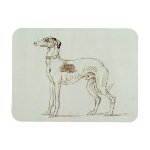 Ein Windhund, Gegenüberstellen verlassen (Stift u Magnet