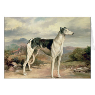Ein Windhund in einer hügeligen Landschaft