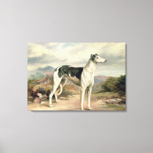 Ein Windhund in einer hügeligen Landschaft Leinwanddruck