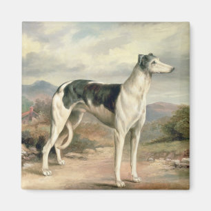 Ein Windhund in einer hügeligen Landschaft Magnet