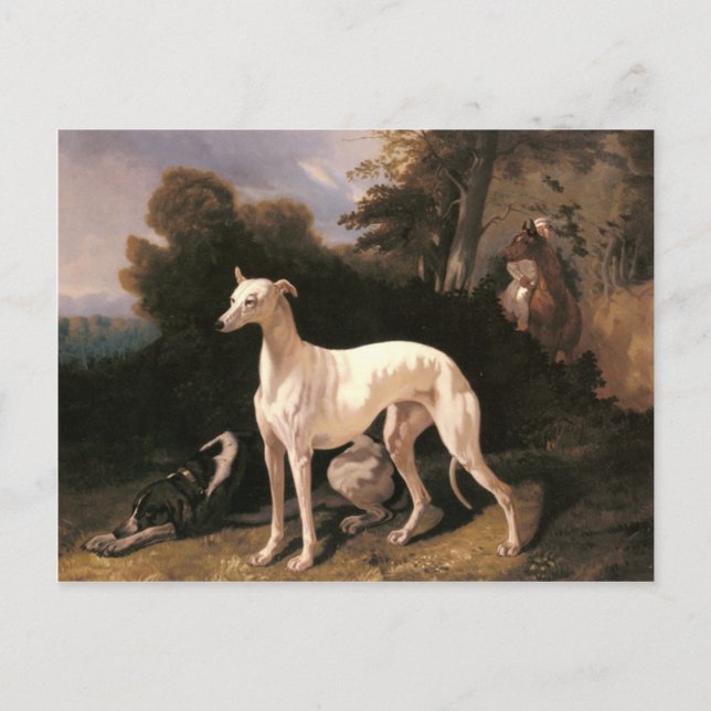 Ein Windhund in einer weiten Landschaft von de Dre Postkarte (Vorderseite)