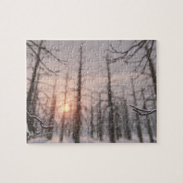 Ein Winternachtstrick (Horizontal)
