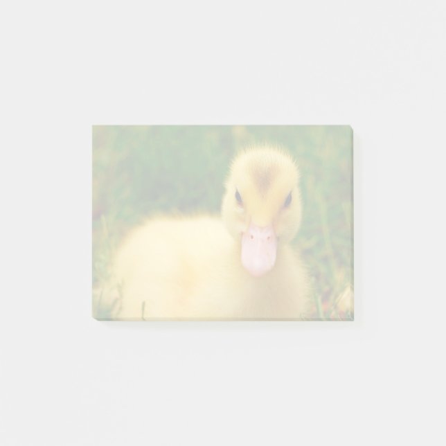 Ein winziges Duckschen Post-it Klebezettel (Vorderseite)
