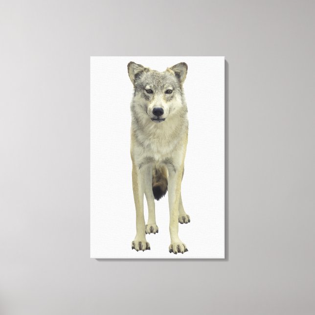 Ein Wolf Leinwanddruck (Vorderseite)