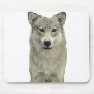 Ein Wolf Mousepad