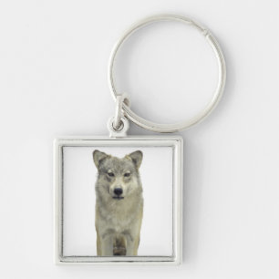 Ein Wolf Schlüsselanhänger