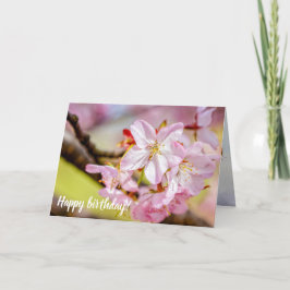 Ein wunderbarer Haufen rosa Sakura-Blume im Frühja Karte