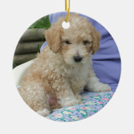Ein wunderschöner Cavapoo Welpe, abgeschieden Keramikornament