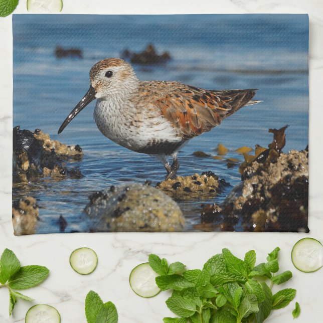Ein wunderschöner Dunlin Goes Solo Geschirrtuch (Gefaltet)