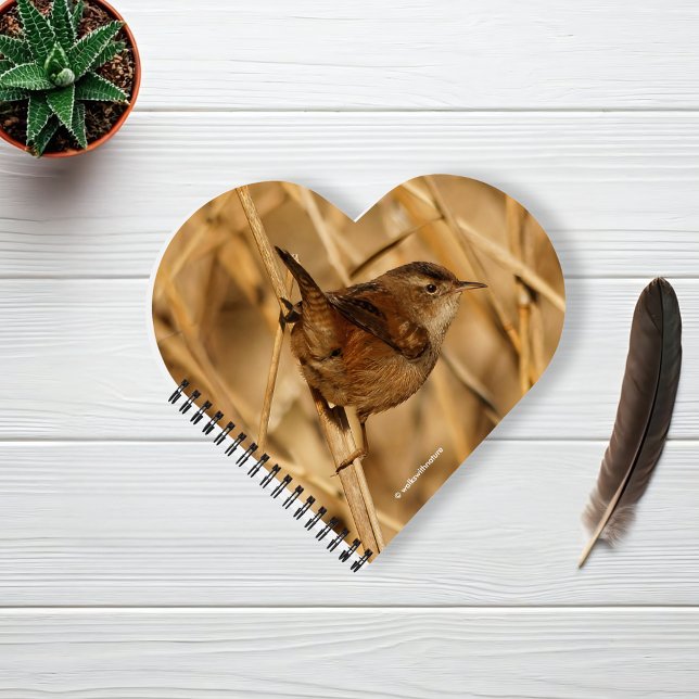 Ein wunderschöner Marsch in—Wo sonst?—der Marsch? Notizbuch (Marsh Wren in the Marsh Reeds Journal Cover Photo)