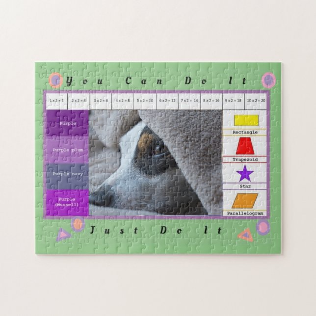 Ein wunderschöner, sonniger Hund mit Erziehung (Horizontal)