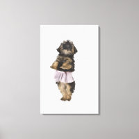 Ein Yorkie-poo Welpe in einem Tutu auf ihren Hinte