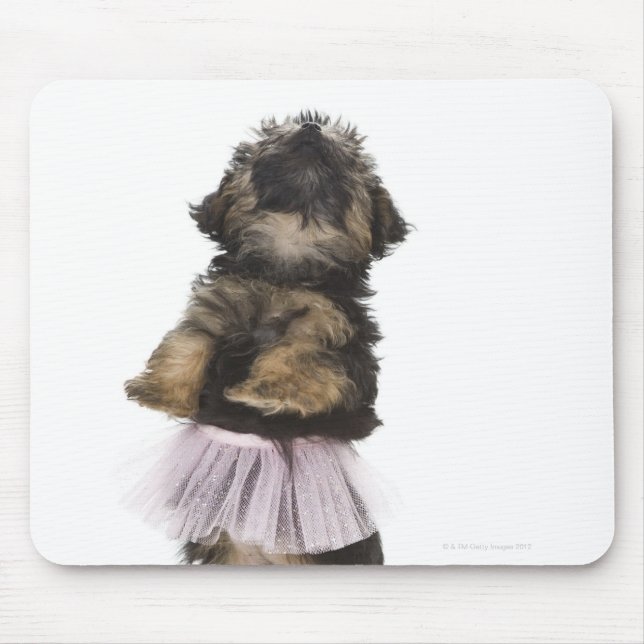 Ein Yorkie-poo Welpe in einem Tutu auf ihren Hinte Mousepad (Vorne)