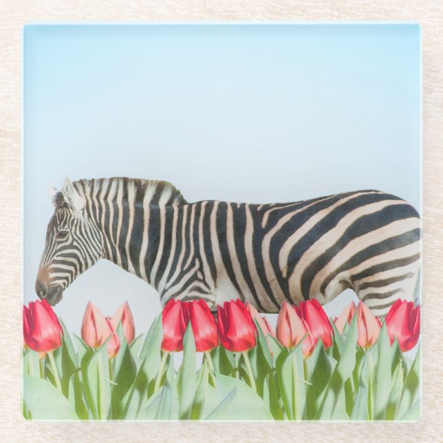 Ein Zebra unter den Tulpen Glasuntersetzer (Vorderseite)