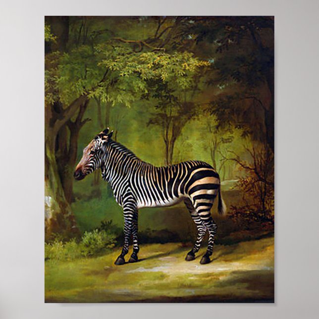 Ein Zebra von George Stubbs  Poster (Vorne)