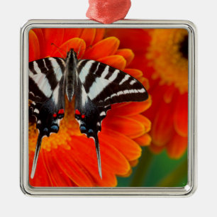 Ein Zebrafalter Schwalbenschwanz Ornament Aus Metall