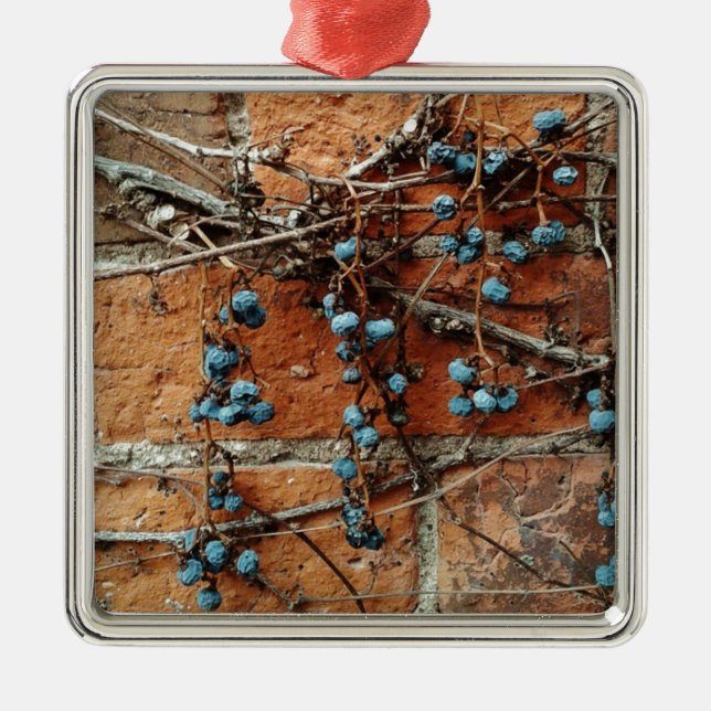Ein Zeichen des Winters, Weinberge und Ziegelmauer Silbernes Ornament (Vorne)