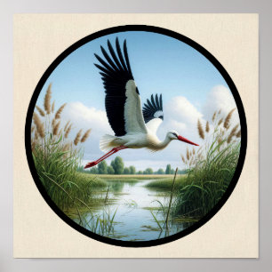 Ein zirkuläres 3D-Bild eines schönen weißen Storch Poster