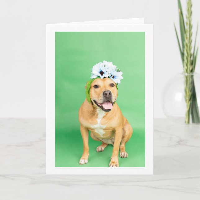 Einblende Karte (Vorderseite)