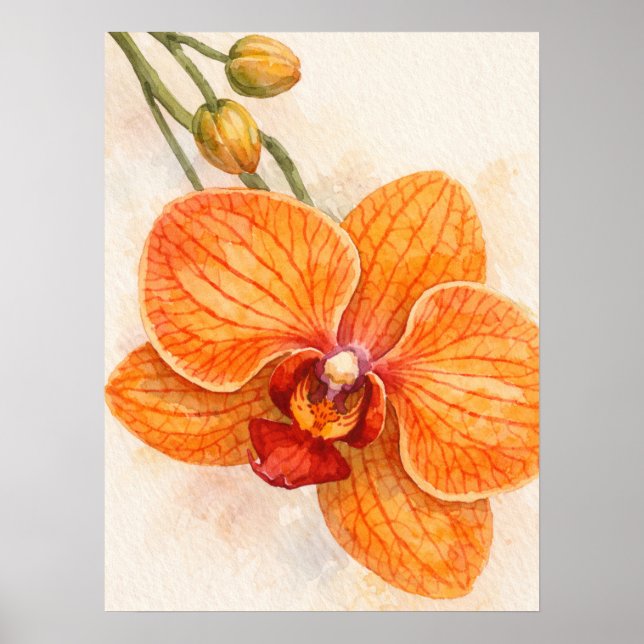 Einblütige Moth-Orchidee Botanisch Poster (Vorne)