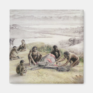 Eindruck eines Lagers besetzt durch Homo habilis Magnet