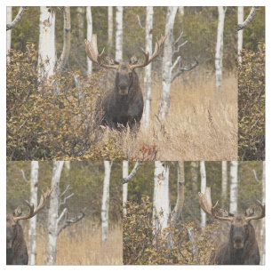 Eindrucksvolle Stier-Elche Stoff
