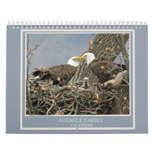 Eine Adlerfamilie Kalender