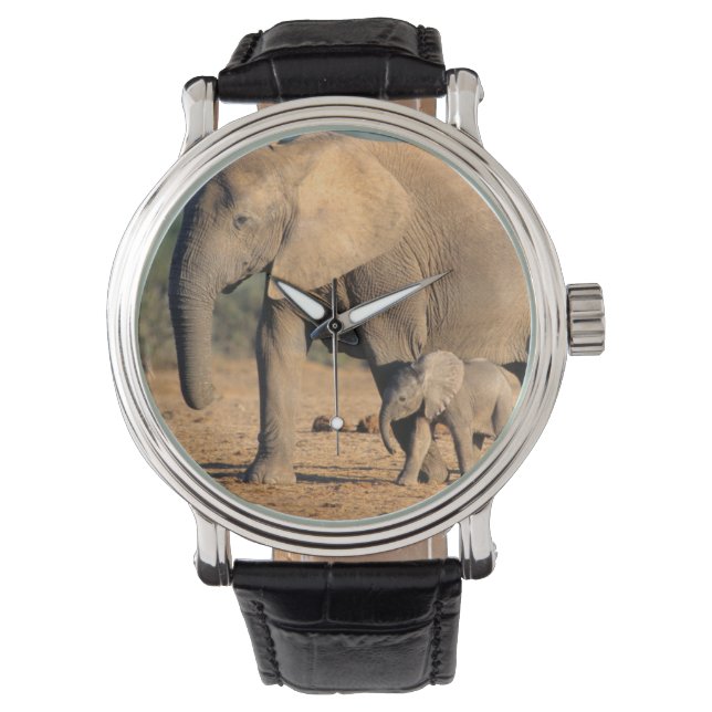 Eine afrikanische Elefantenmutter und ein Kalb unt Armbanduhr (Vorderseite)