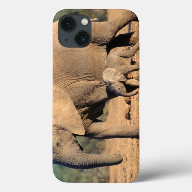 Eine afrikanische Elefantenmutter und ein Kalb unt Case-Mate iPhone Hülle (Rückseite)