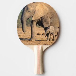 Eine afrikanische Elefantenmutter und ein Kalb unt Tischtennis Schläger