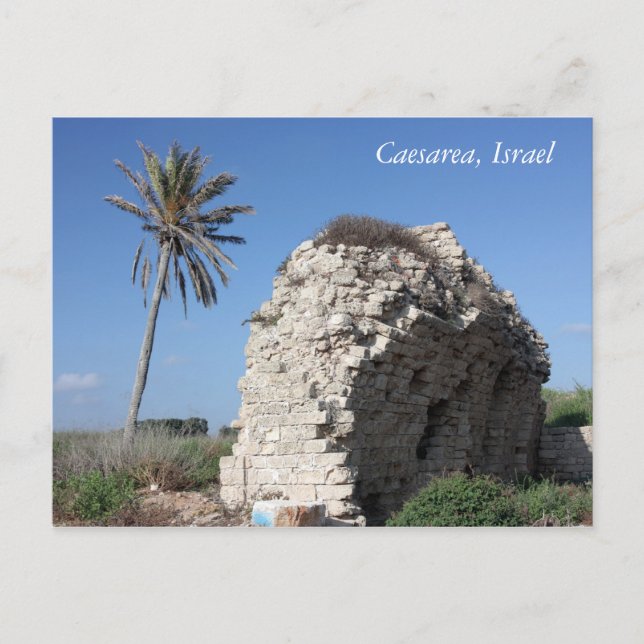 Eine alte Wand mit einer Palme, Caesarea, Israel Postkarte (Vorderseite)