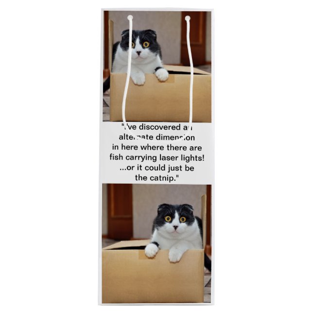 Eine alternative Dimension Geschenktüte Für Weinflaschen (Vorderseite)