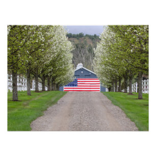 Eine amerikanische Farm Fotodruck