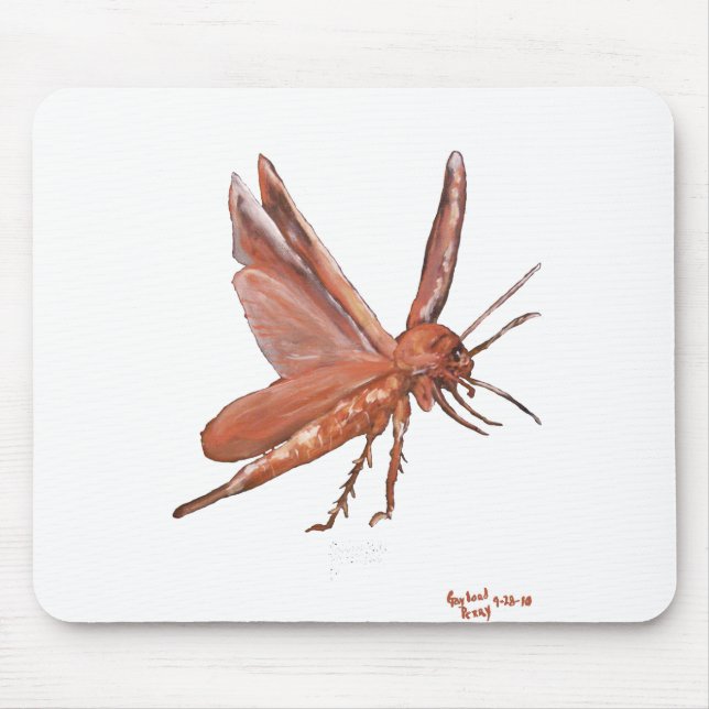 "Eine amerikanische Schabe" Mousepad (Vorne)