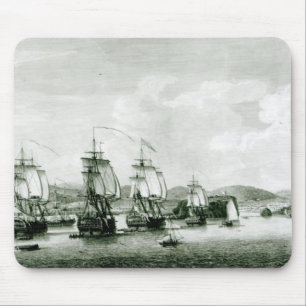 Eine Ansicht der Insel von St-Lucie Mousepad