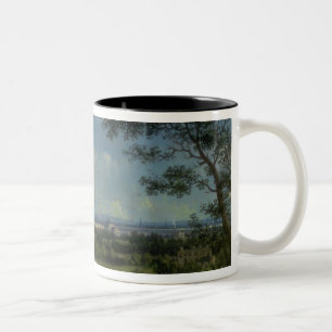 Eine Ansicht des Parks des Regenten Zweifarbige Tasse