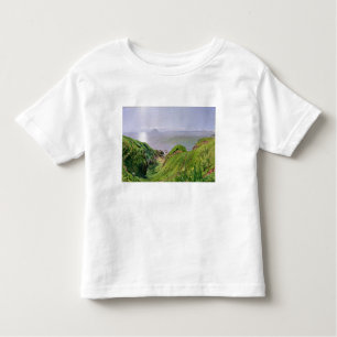 Eine Ansicht von Ailsa Craig und die Insel von Kleinkind T-shirt