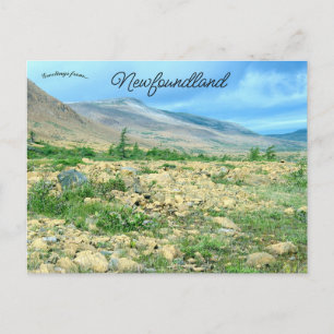 Eine Ansicht von Neufundland Postkarte